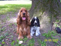 /album/fotogalerie/foto-dusan-115-jpg/